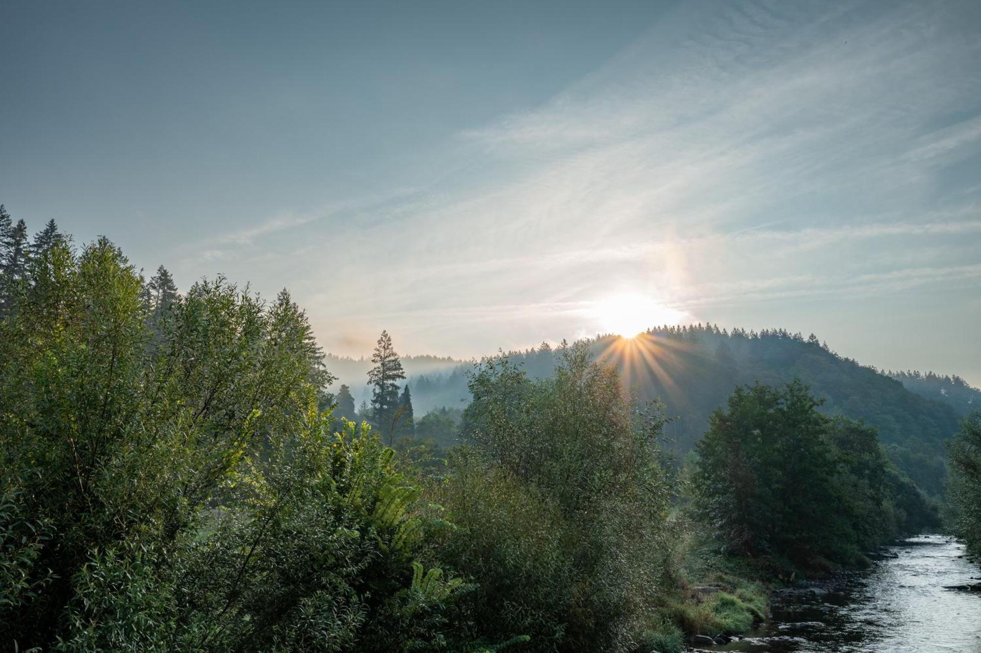 Jugendherberge Freiburg Bagian luar foto
